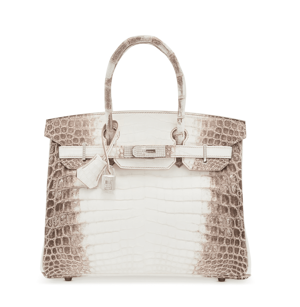 Hermés Himalaya Birkin.